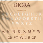 Diora Duo Font Poster 15