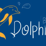 Dolphin Font Poster 1