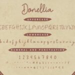 Donellia Font Poster 5