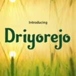 Driyorejo Font Poster 1