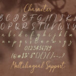 Dulan Anzelica Font Poster 14