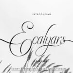 Ecalyars Font Poster 2