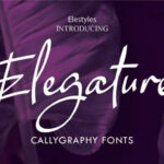 Elegature Font Poster 1