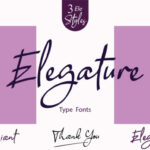 Elegature Font Poster 6