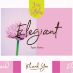 Elegiant Font Poster 7