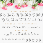 Endenesilia Font Poster 11