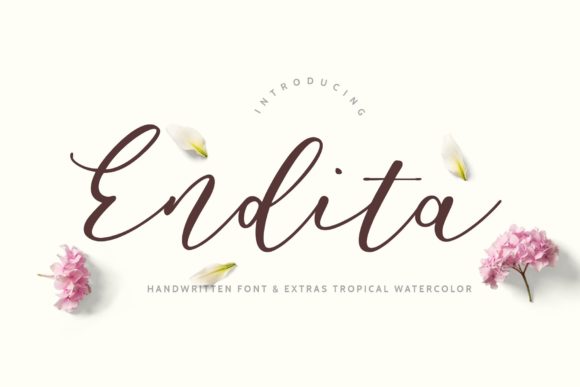 Endita Font Poster 1