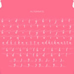Enjelina Font Poster 8