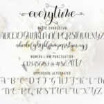 Everytime Font Poster 11