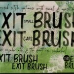 Exit Brush Font Poster 2