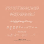 Fairmont Duo Font Poster 7