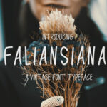 Faliansiana Font Poster 1