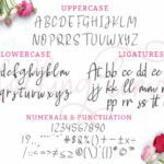 Falling Lemon Font Poster 8