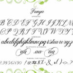 Fanya Font Poster 5