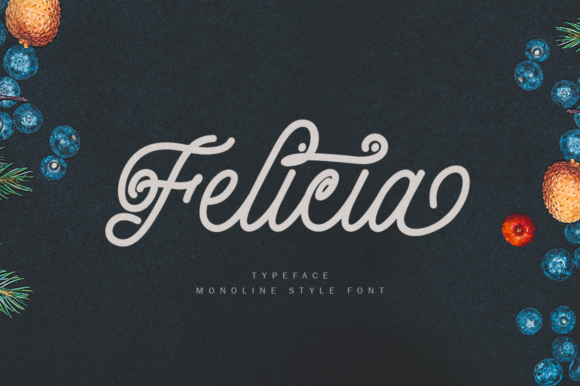 Felicia Font Poster 1