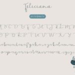 Feliciana Font Poster 10