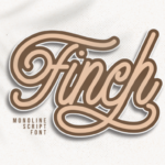 Finch Font Poster 12