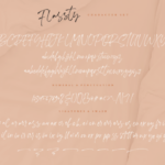 Flassty Font Poster 14