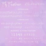 Fly Feather Duo Font Poster 5