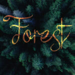 Forest Font Poster 1