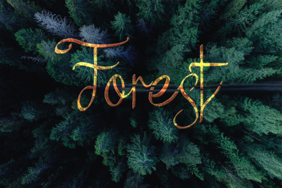 Forest Font