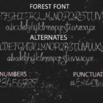 Forest Font Poster 5