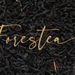 Forestea Font Poster 14