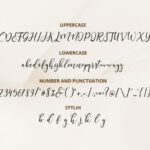 Fredella Font Poster 3