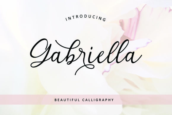 Gabriella Font Poster 1