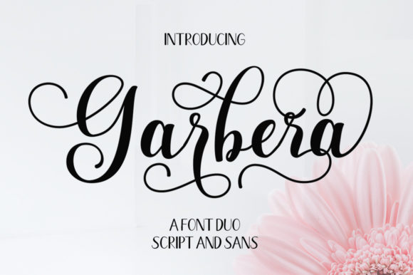 Garbera Duo Font Poster 1