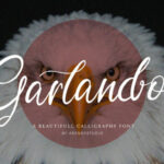 Garlando Font Poster 1