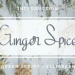 Ginger Spice Font Poster 1