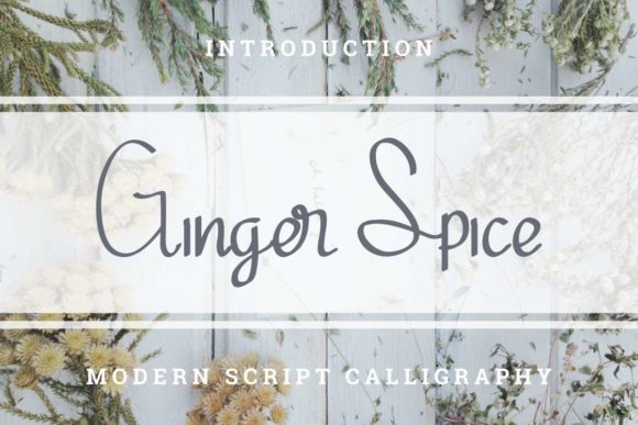 Ginger Spice Font Poster 1