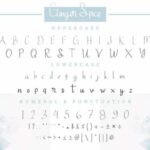 Ginger Spice Font Poster 4