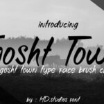 Gosht Town Font Poster 1