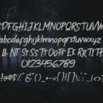 Grill Shadow Font Poster 6