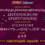 Grilled Salmon Font Poster 6