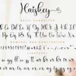 Haiskey Font Poster 11