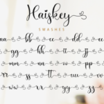 Haiskey Font Poster 12