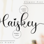 Haiskey Font Poster 10