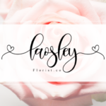 Haisley Font Poster 6