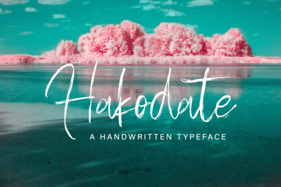 Hakodate Font Poster 1