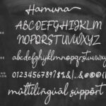 Hamuna Font Poster 9