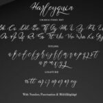 Harleyquin Font Poster 7