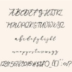 Hatebeen Font Poster 6