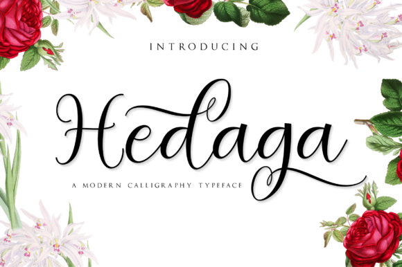 Hedaga Font