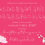 Helen Paris Font Poster 3