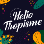 Helio Tropisme Font Poster 1