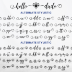 Hello Dude Font Poster 9