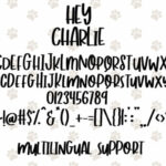 Hey Charlie Font Poster 5